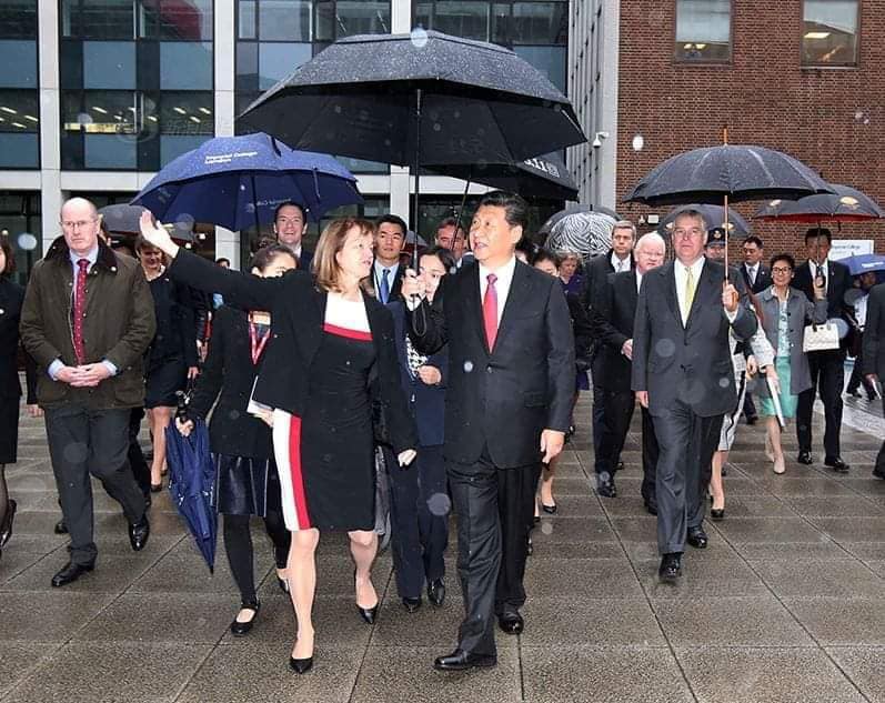 MIT台灣傘亮系列-總統總理專用雨傘抗風傘，天皇專用傘(10級強風也堅若磐石)